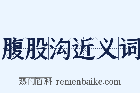 腹股沟近义词是什么意思的图片